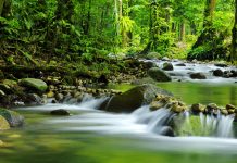 High frequency monitoring needed to protect UK rivers!