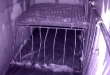 Remote visibility helps protect key assets