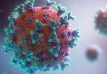 Coronavirus is Easy To Kill